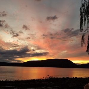 Meet your Posher, Suzanne